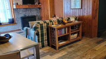 TV, fireplace, books