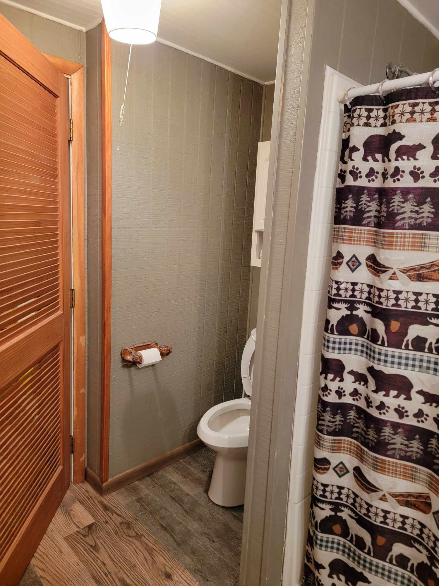 A bathroom with a toilet, a wooden door, and a shower curtain with animal patterns.