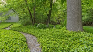 Un sendero serpentea por un exuberante jardín lleno de plantas y árboles verdes.