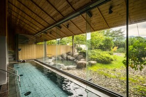 Hot springs - Kurobe view hotel (Omachi)