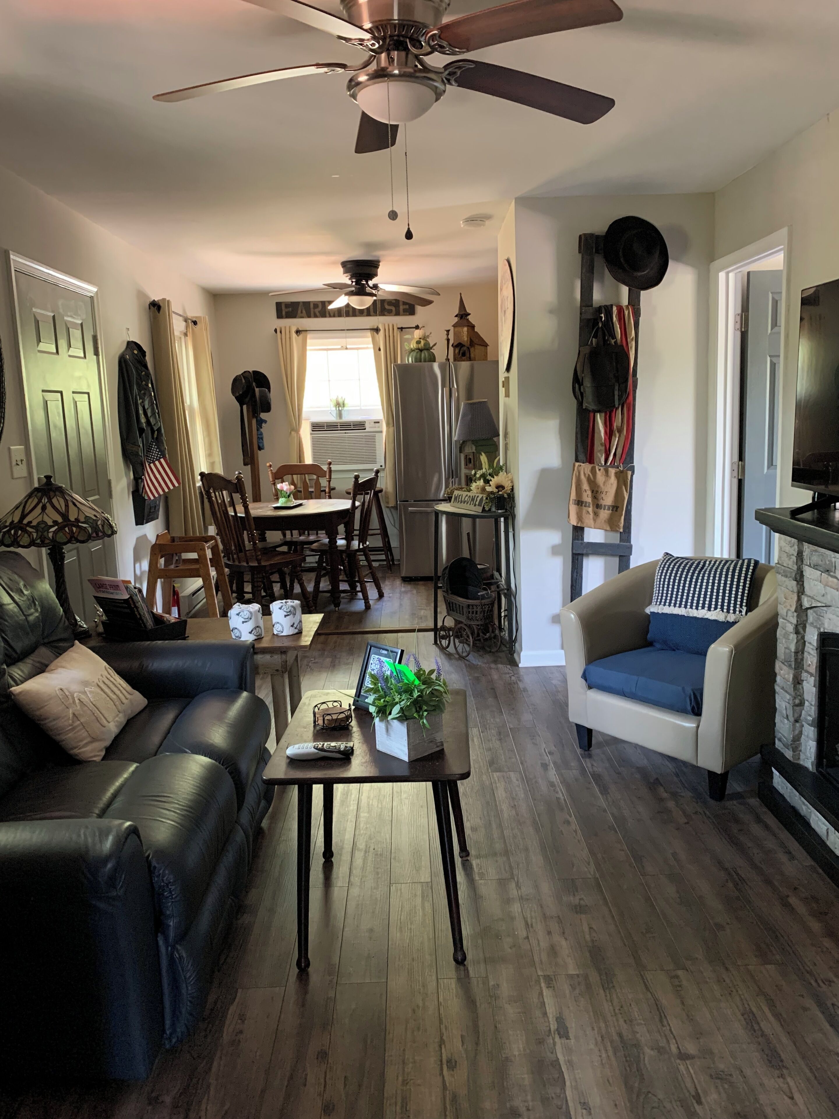 TV connectée, cheminée, lecteur de DVD, livres