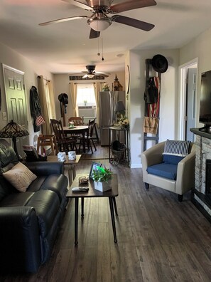 Smart TV, fireplace, DVD player, books