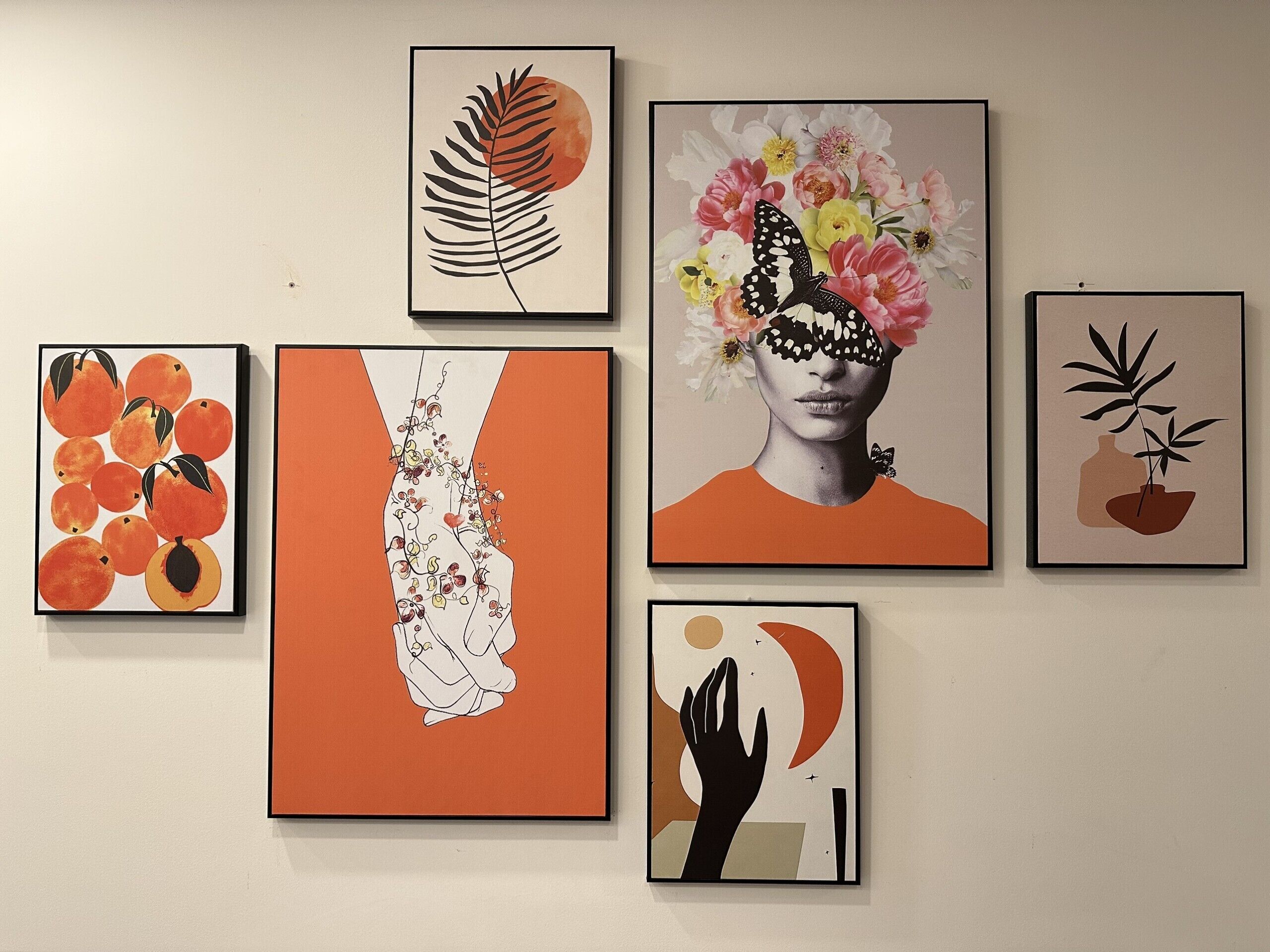 Una pared con seis obras de arte enmarcadas, cada una representando diferentes motivos como flores, una mariposa y diseños abstractos.