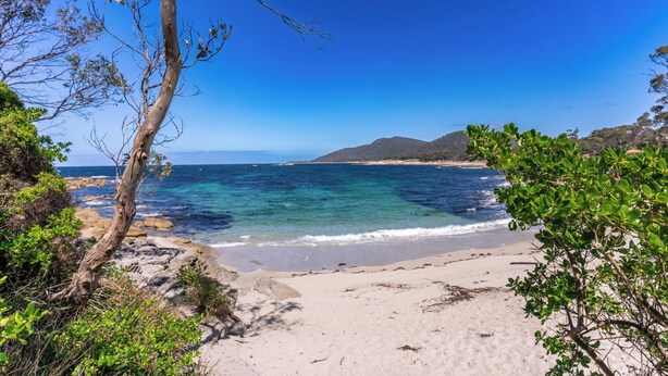 A beach with clear blue water, sandy shore, and green foliage. - On the Rocks Bicheno - Bicheno Accommodation (Bicheno)