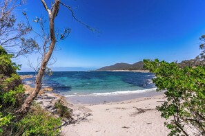 A beach with clear blue water, sandy shore, and green foliage.