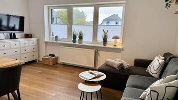 Fernseher, Stereoanlage