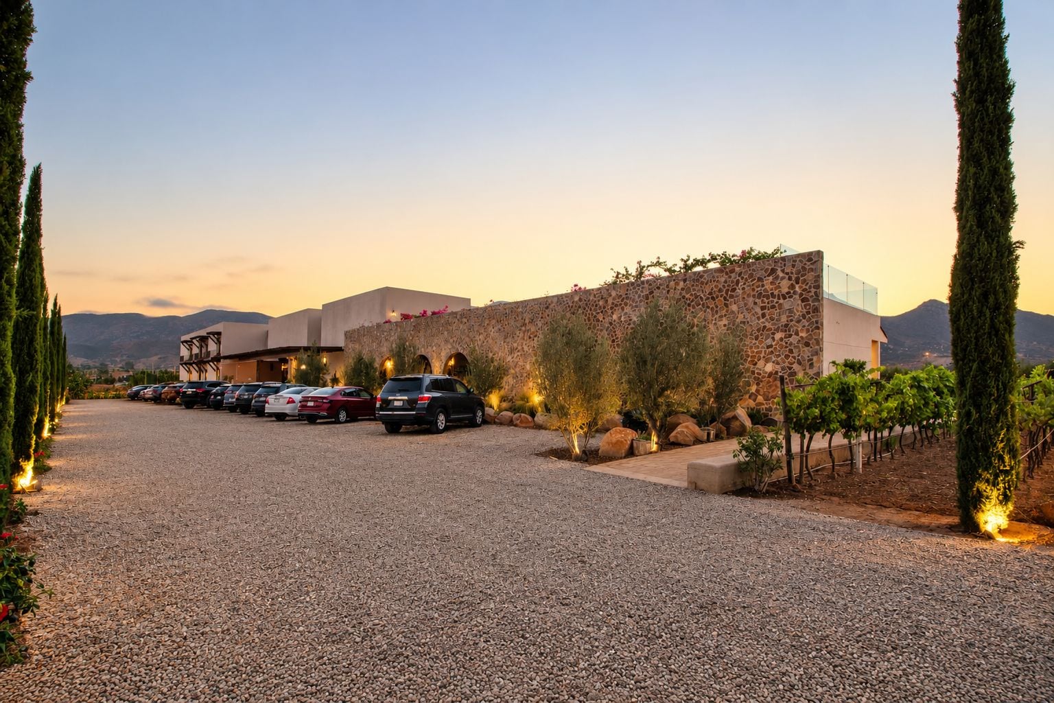 A parking lot with several cars, a building with a stone facade, and a vineyard in the background.