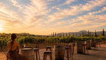 A woman seated at a table with a wine glass, overlooking a vineyard with rows of grapevines and a clear sky.