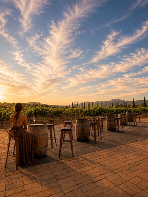 Una mujer sentada a una mesa con una copa de vino, con vistas a un viñedo con hileras de vid y un cielo despejado.