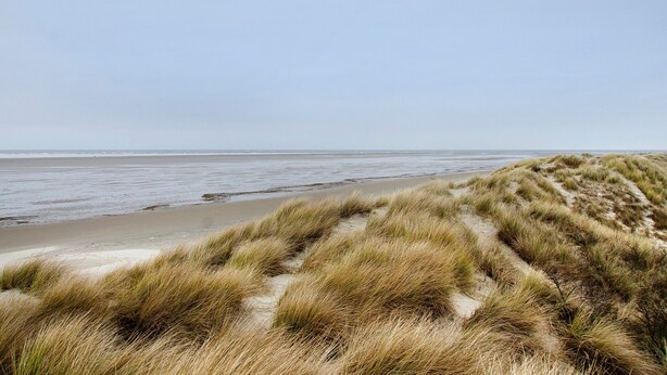 A beach with sand dunes and a clear sky. - Apartment 'Hiddes Hus - Fuhrmann' with Wi-Fi (Borkum)