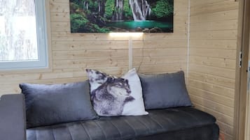 电视
