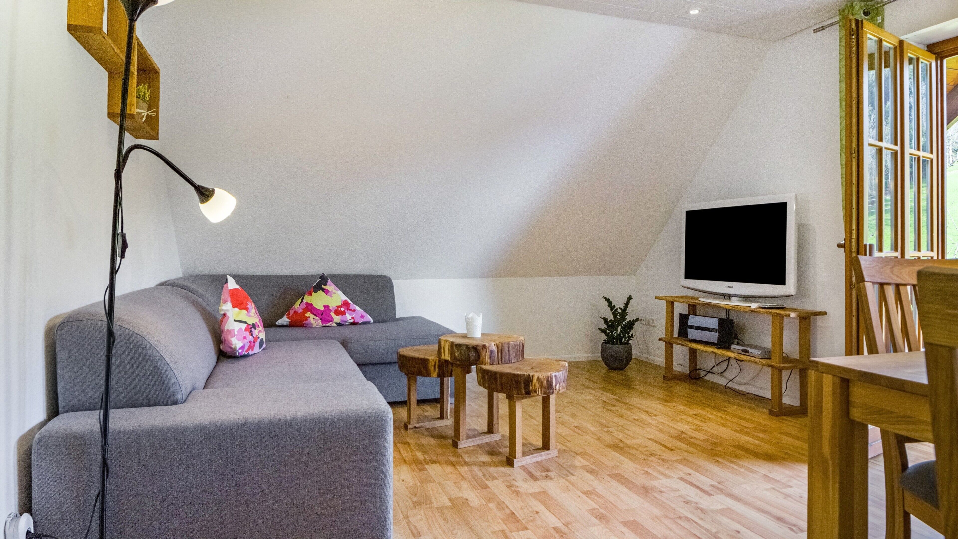 Tv, ett bordtennisbord och en stereo