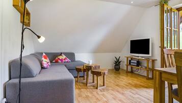 Tv, ett bordtennisbord och en stereo