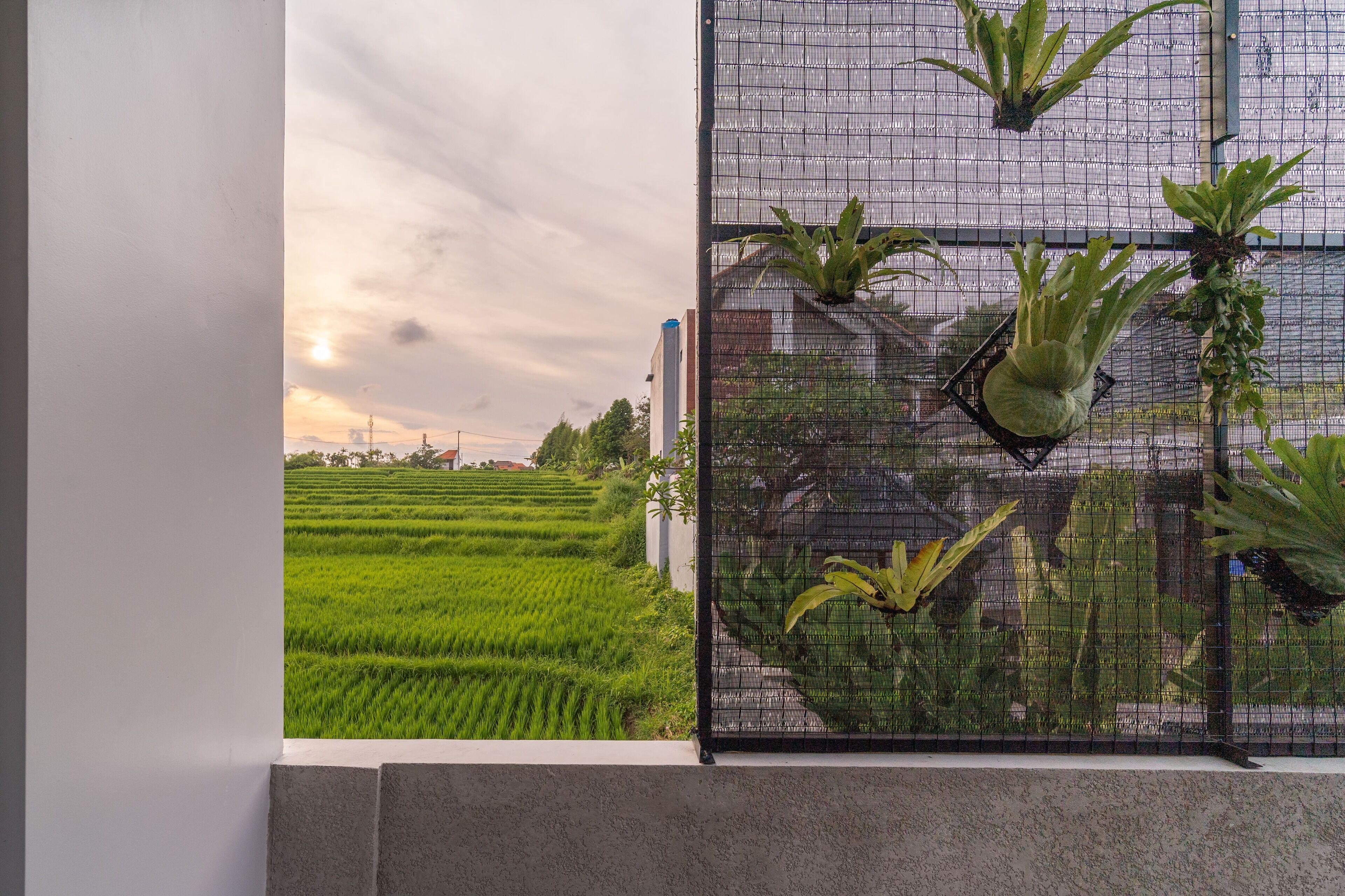 A view of a green field through a window with a metal grid.