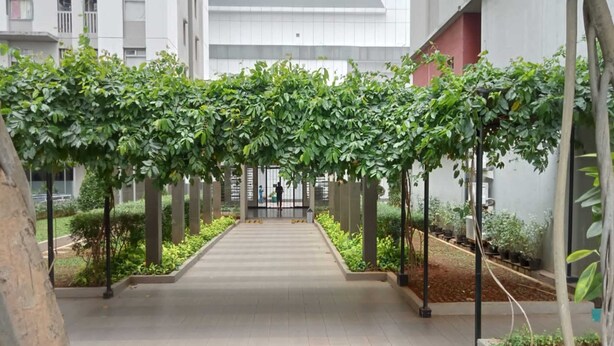 A corridor with a central walkway flanked by greenery and potted plants. - OYO LIFE ROOMS BY MIXO  (Jakarta)