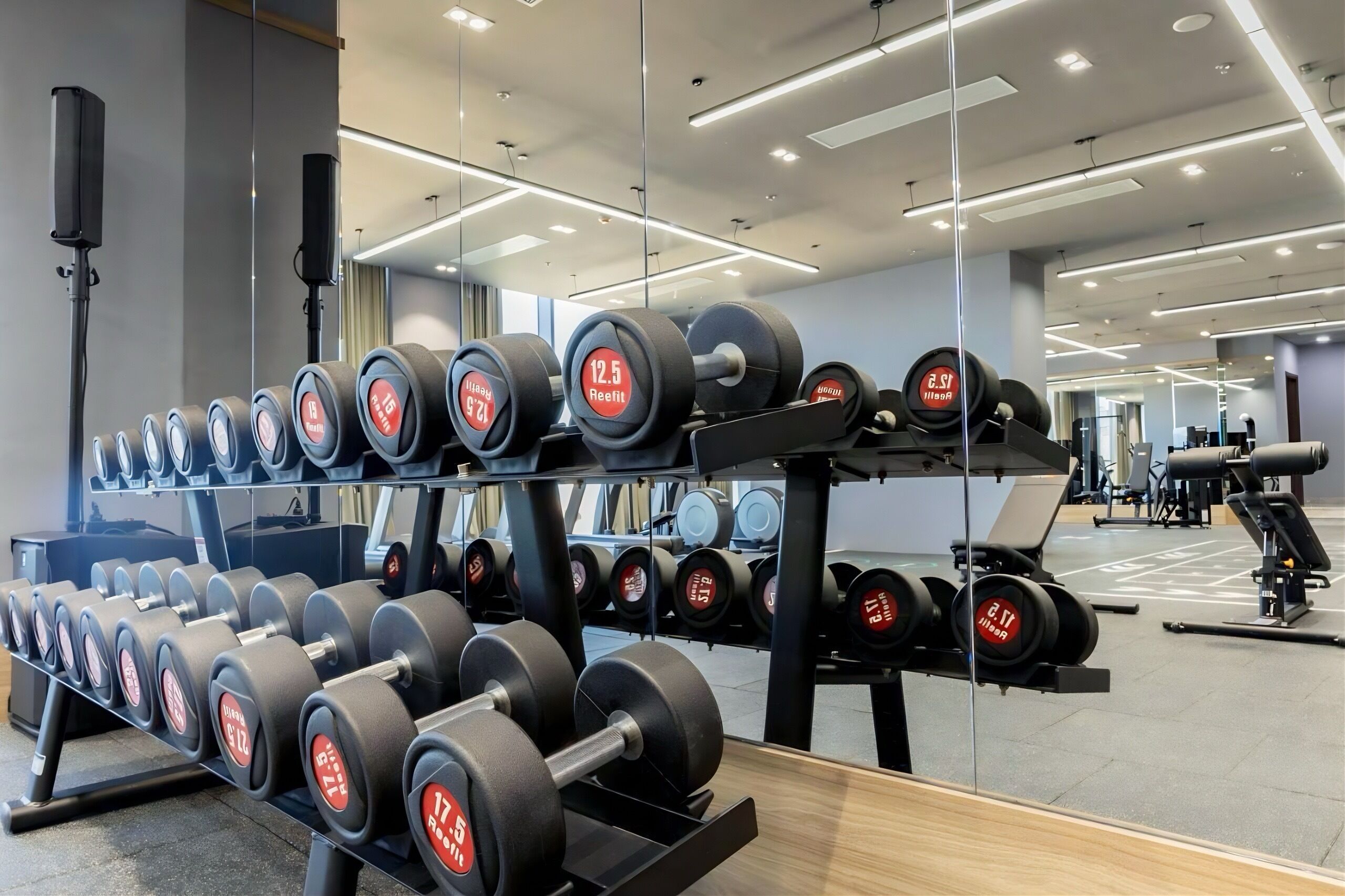 A gym with rows of dumbbells and weight plates, modern lighting, and a large mirror.
