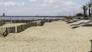 Une plage de sable bordée d’une clôture en bois, avec un palmier et un phare en arrière-plan.