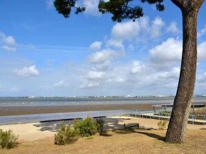 A coastal view with a sandy beach, a tree, and a clear sky.