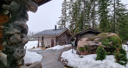 Villa Kaunisvirta