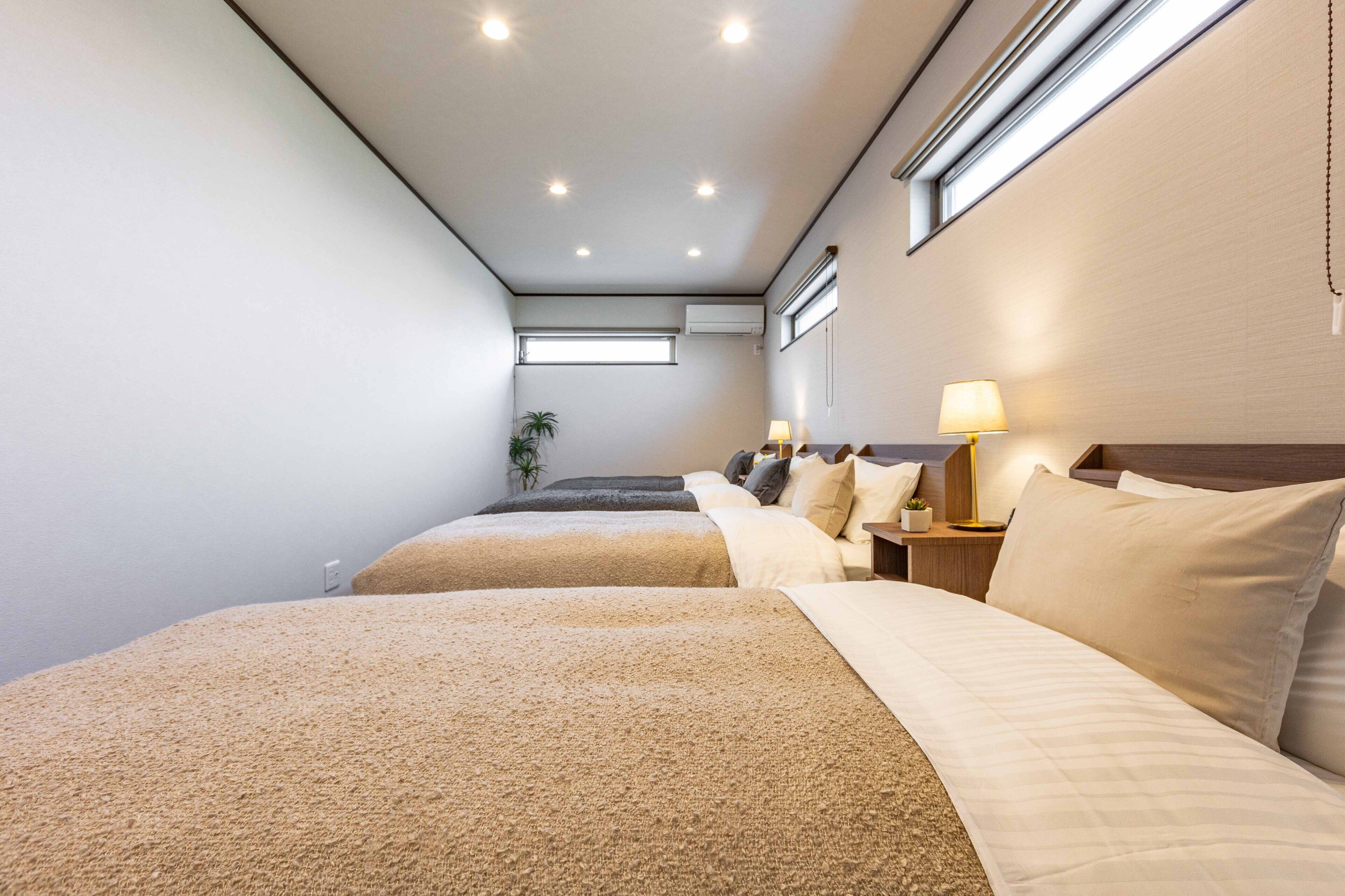 Habitación de hotel con dos camas, una ventana, una planta y una mesita de noche con lámpara.