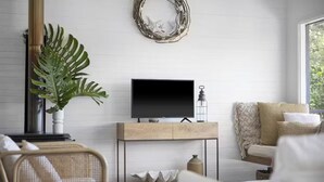 Un salon avec un téléviseur posé sur un meuble en bois, une grande plante, un fauteuil en osier et un canapé avec des coussins.
