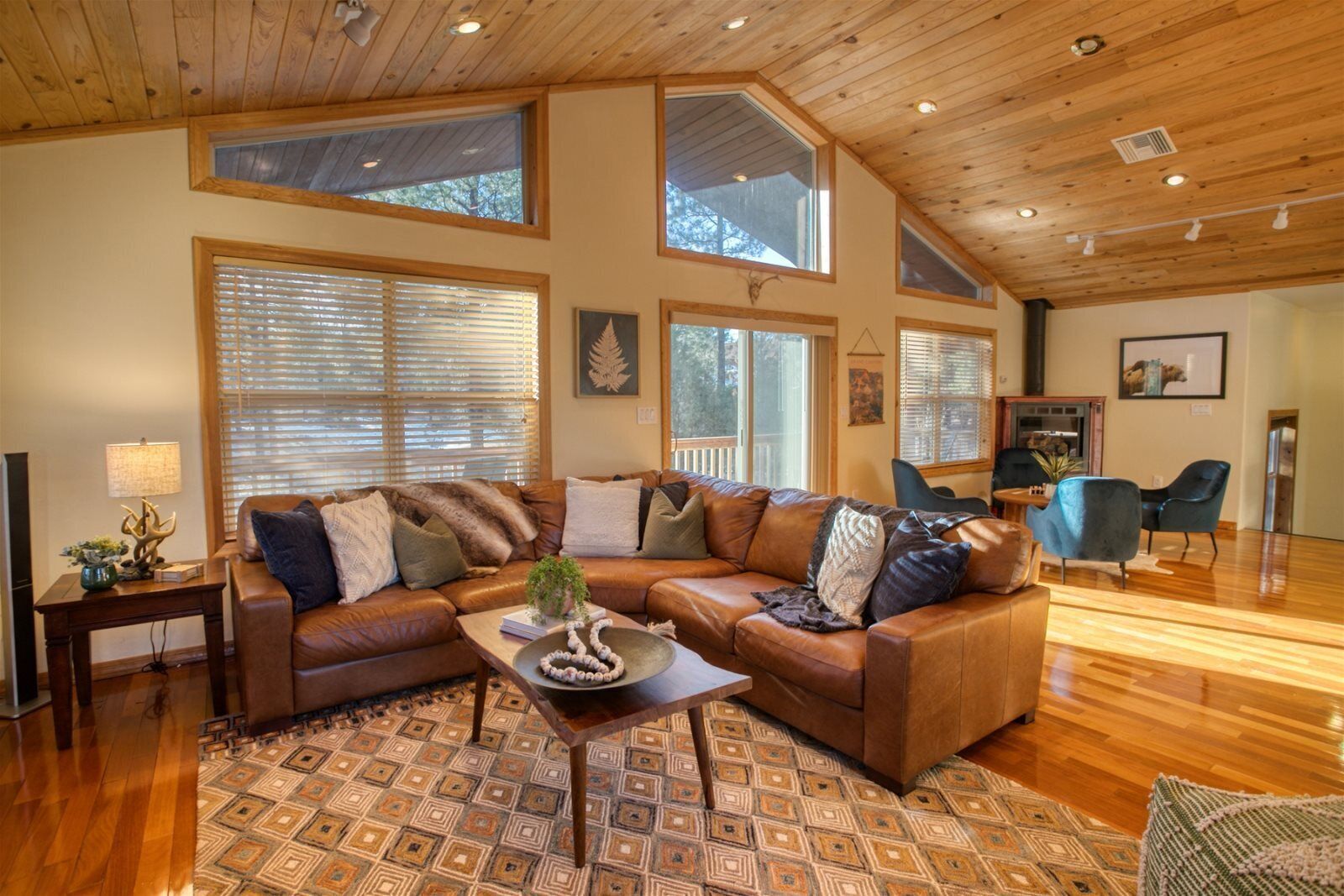 壁爐、DVD 播放機