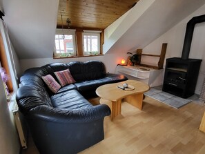 TV, fireplace, books