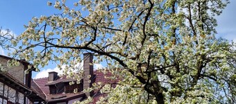 Schöne Große Ferienwohnung für 1-4 Gäste, zum Entspannen Bestens Geeignet