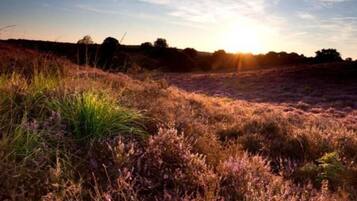 A natural landscape with a sunset.