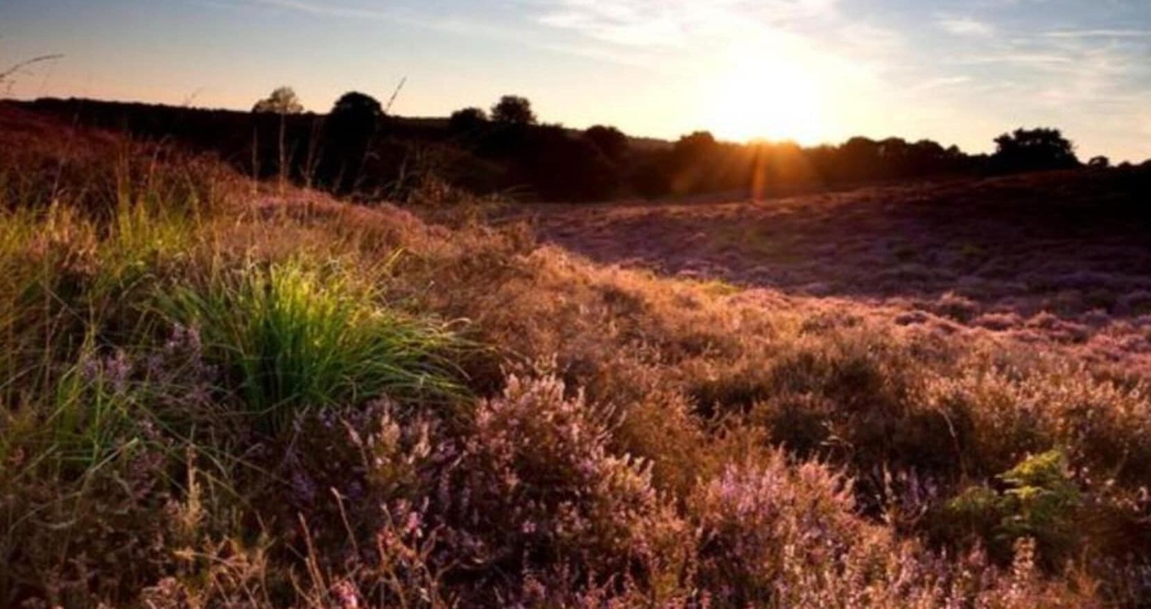 Un paisaje natural con un atardecer.