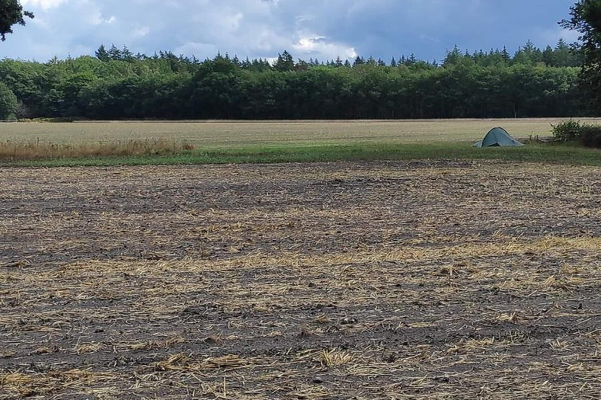 Une tente dressée dans un champ, avec une forêt en arrière-plan.