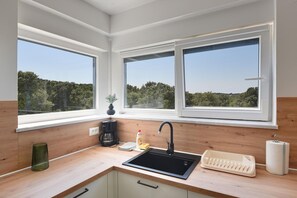 Fridge, oven, stovetop, dishwasher - Apartment in Croatia near Adriatic Coast (Pula)