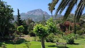 Un jardín bien cuidado con un árbol central, un camino de piedra y un banco.