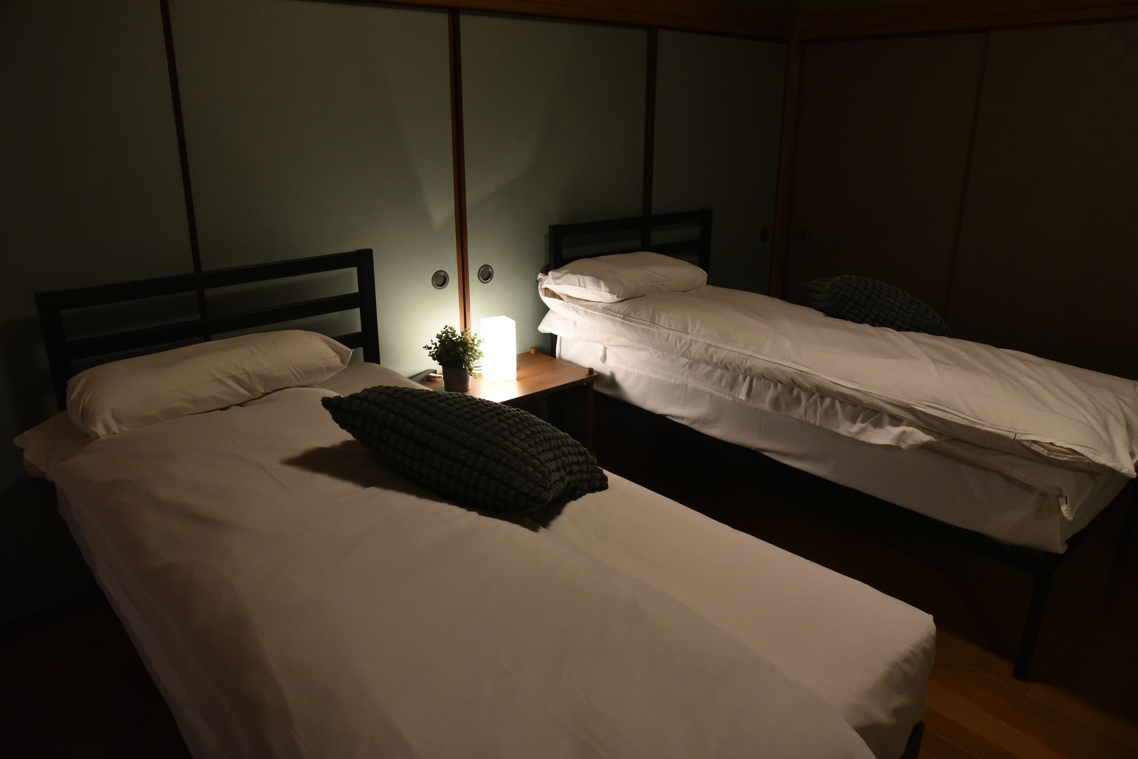 A room with two single beds, a bedside table with a lamp, and a small potted plant.