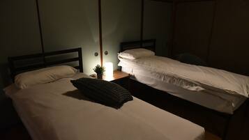 A room with two single beds, a bedside table with a lamp, and a small potted plant.