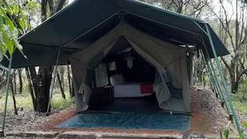 Enceinte de lâhĂ©bergement