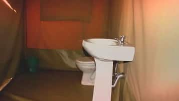 Shower, towels, soap, shampoo