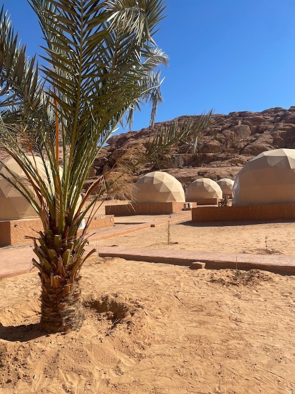 A desert landscape with palm trees and a rocky hill in the background. - Wadi Rum Marcana camp (Wadi Rum)