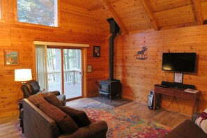 TV, fireplace, DVD player, books