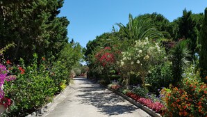 Un sentier bordé d’une végétation luxuriante et de fleurs aux couleurs vives, qui mène vers une ligne d’arbres à l’horizon.