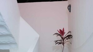 A white staircase with a potted plant at the top. - Germania pyramids inn (Giza)