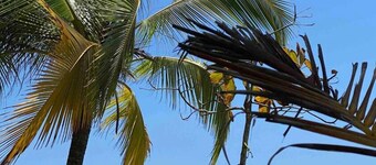 Near Manuel Antonio-Private Pool-Gated-Chic-Paved road-minutes to marina