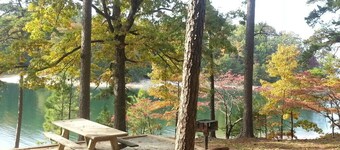 Newly Renovated 2ba/2 Private Baths Rustic Oakwood Townhouse