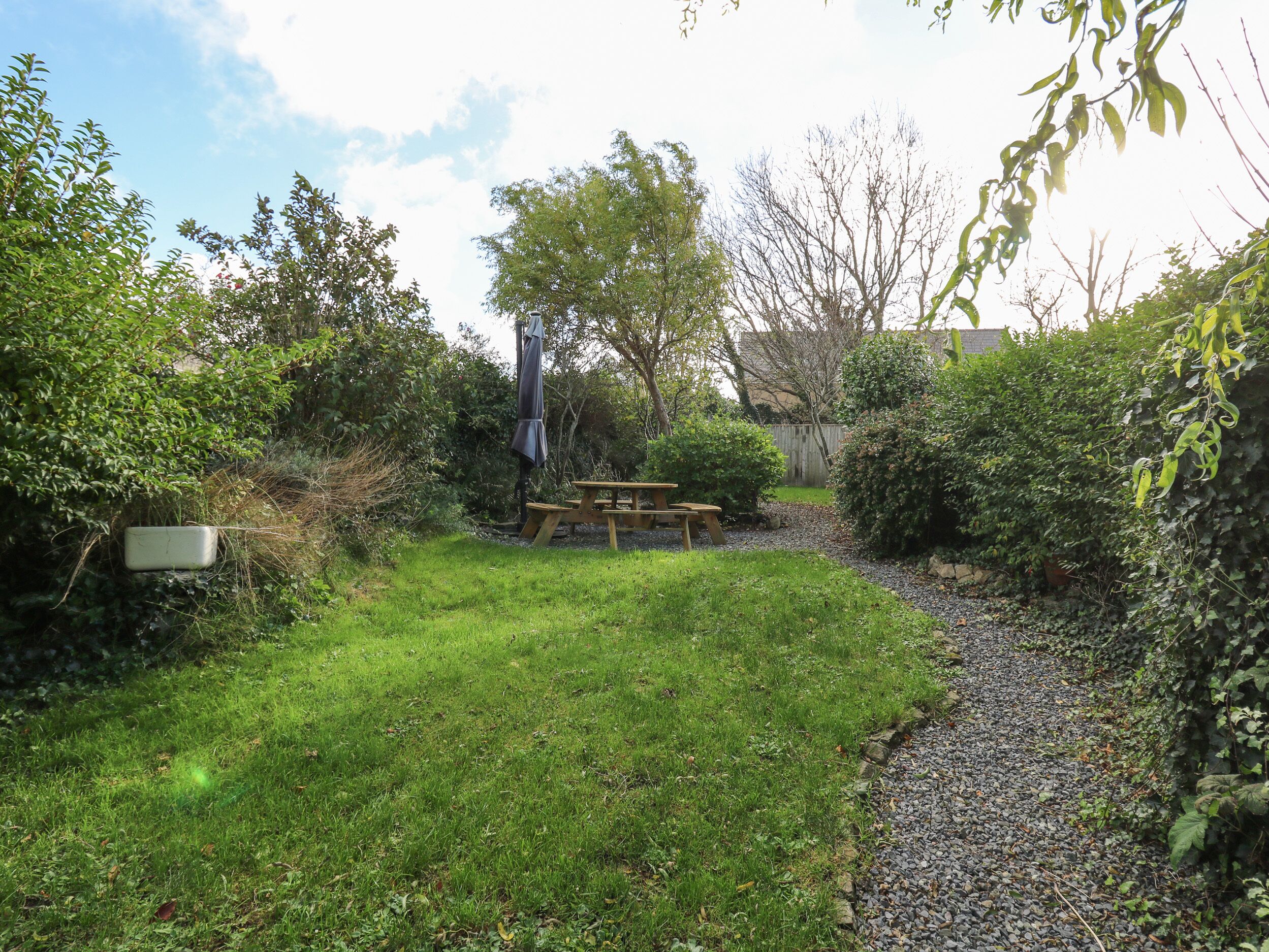 A grassy outdoor area with a picnic table and a bench, surrounded by dense foliage and trees.
