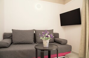 Un canapé gris avec deux coussins, une petite table ronde sur laquelle est posée une plante en pot, et un téléviseur à écran plat fixé au mur.