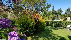Ein üppiger Garten mit verschiedenen Blumen und einer Rasenfläche.