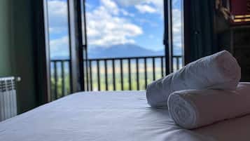 4 slaapkamers, een bureau, een strijkplank/strijkijzer, gratis wifi