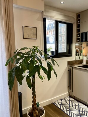 Enjoy a stylish kitchen with a potted plant, white cabinetry, and a black countertop.