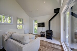 Télévision, cheminée