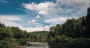 Un río rodeado de un bosque frondoso.